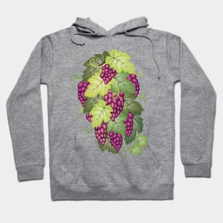 Bunches Of Grapes Hoodie